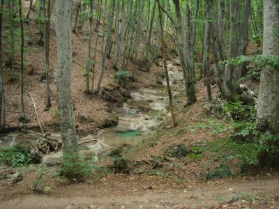 Прикрепленное изображение: DSC09869.JPG